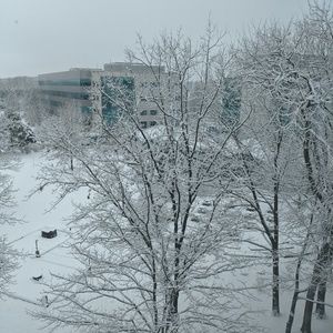 Meet your Posher, Kelli